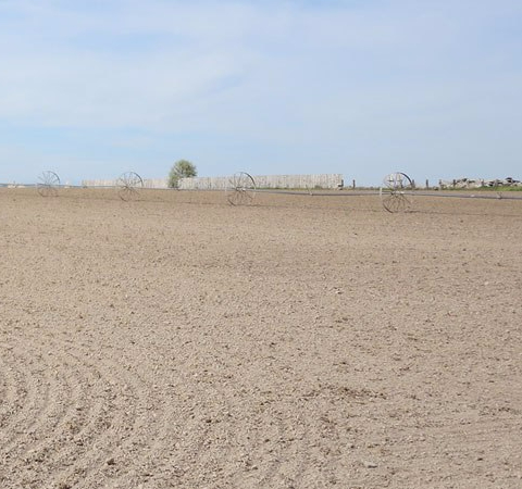 katrina running sociology - dry field
